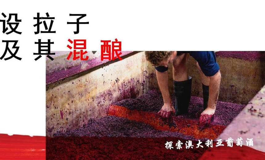 探索澳大利亚葡萄酒研习班——上海南京收官，广州深圳精彩抢先看