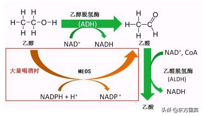 喝酒脸红的人酒量差？学会这几招，瞬间看穿对方的酒量