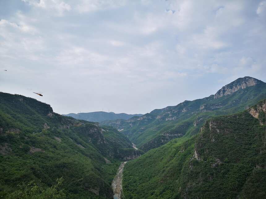 云台山之行两天半，入境诗佛王维的两句半诗，茱萸、清泉、水穷处