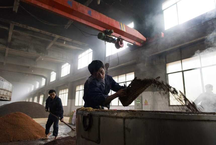 揭秘衡水老白干酒蒸馏，学习老白干的蒸馏操作，老师傅不愿透露