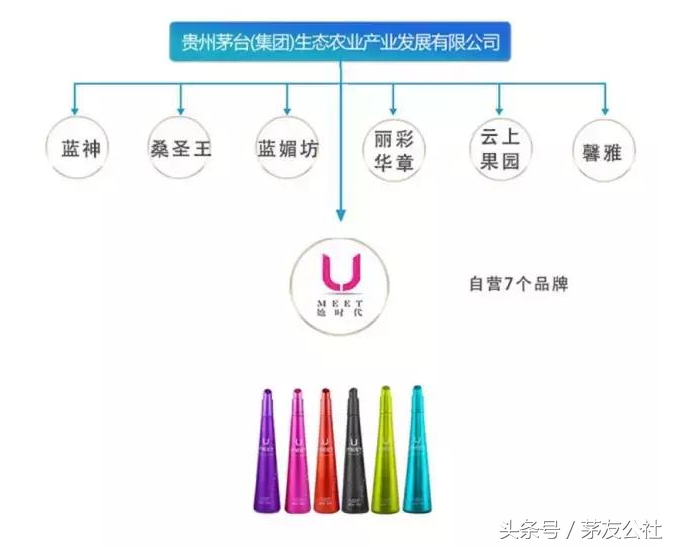 你买到的是真茅台酒吗？茅台集团品牌大全，赶紧收藏！｜茅友公社