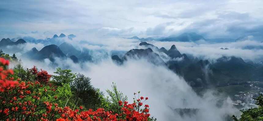 探寻九嶷山，揭秘佳百年生态源酿密码