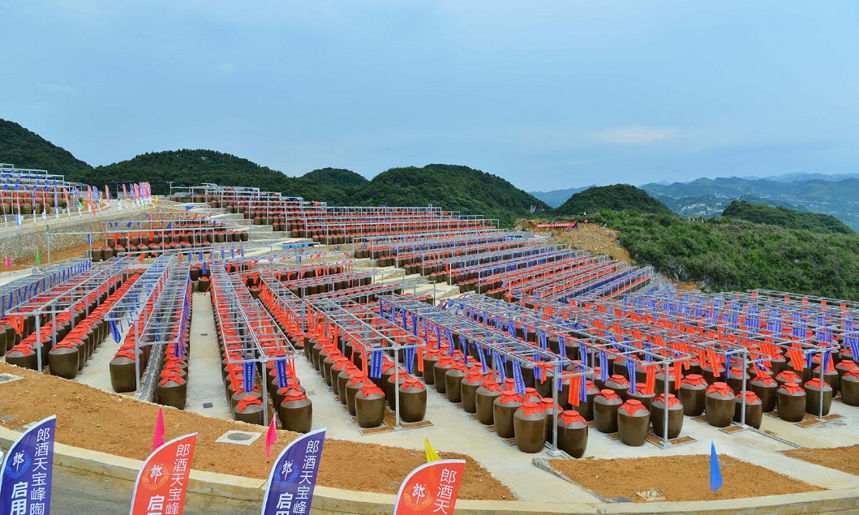 酒业专家重视白香型，而消费者对香型不感冒，为何形成了极端