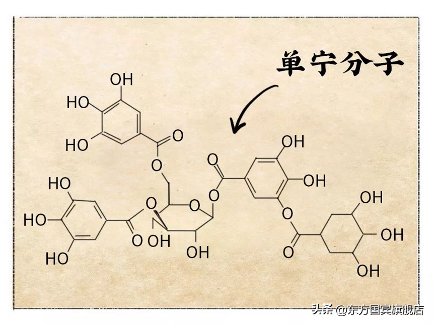 东方国宾酒业 | 一文看懂，为何是高粱成就了中国白酒？