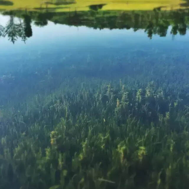 郎酒总部办公基地麓湖水城新晋4A级景区