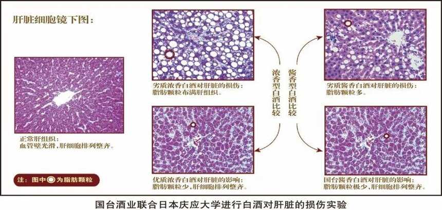 从一粒粮食到一滴酱酒，国台设了165道关卡