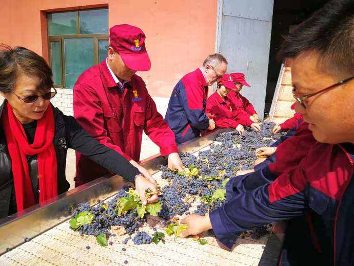 中法葡萄酒酿造技术交流与合作签约仪式在宁夏阳阳国际酒庄举行