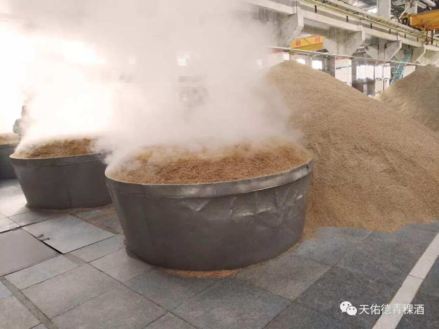 天佑德青稞酒现身2019西安灞河国际半程马拉松赛