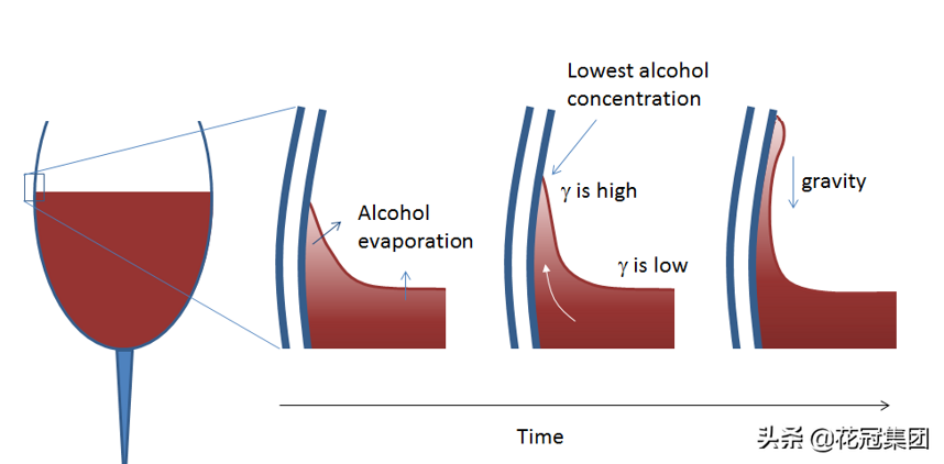 「红酒微课堂」什么是酒泪和酒腿？
