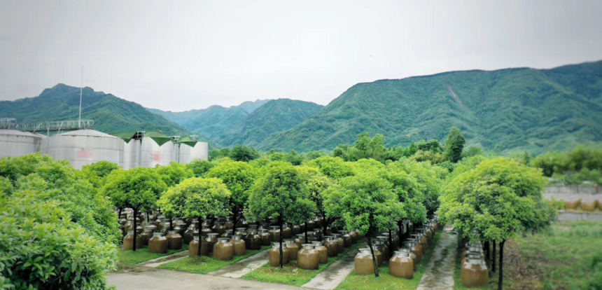 丰淳酒业开启酒旅融合模式 打造龙门山下网红打卡地