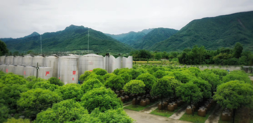 丰淳酒业开启酒旅融合模式 打造龙门山下网红打卡地