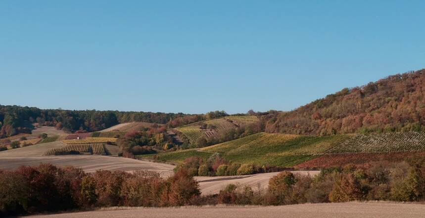 榭维园 Volnay En Chevret