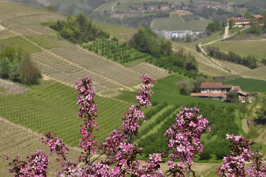 凯碧罗 Gevrey-Chambertin Craipillot