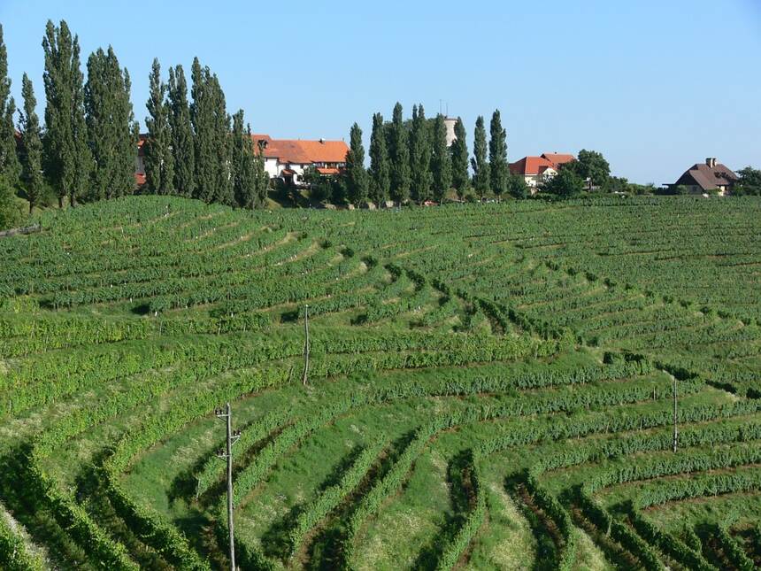 凯乐瑞园 Puligny-Montrachet Le Cailleret