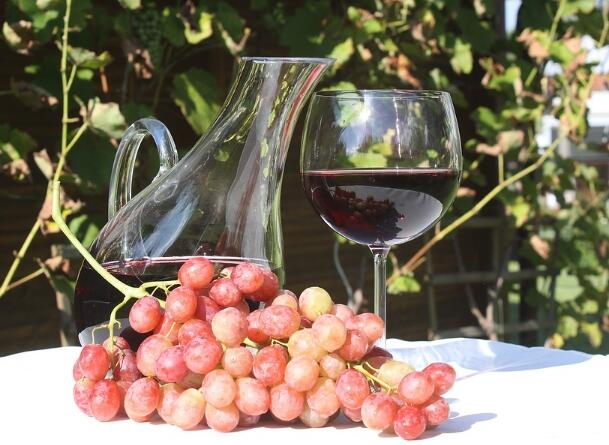 葡萄酒是用什么葡萄酿造的