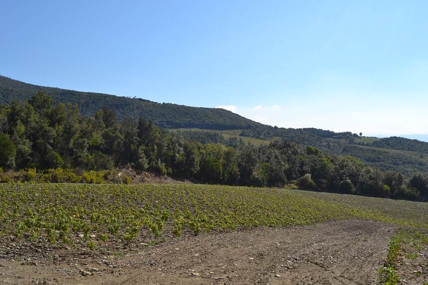 德温特山谷 Derwent Valley