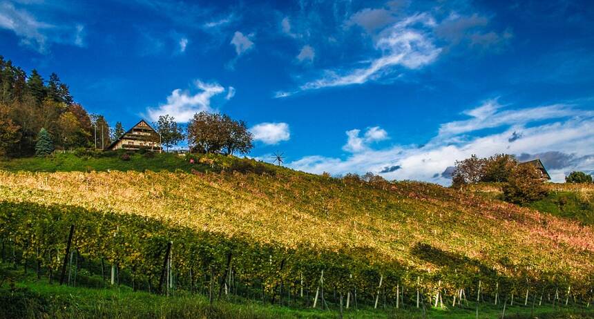 博西 Gevrey-Chambertin La Bossiere