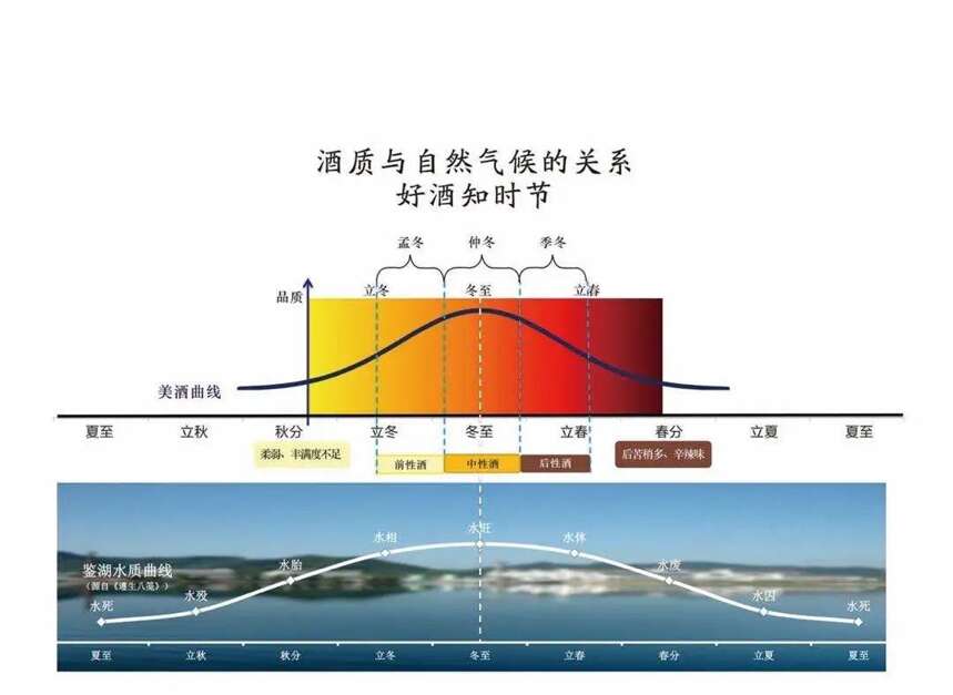 2016塔牌本原酒——朴实无华的外表下蕴含着莫大的可能