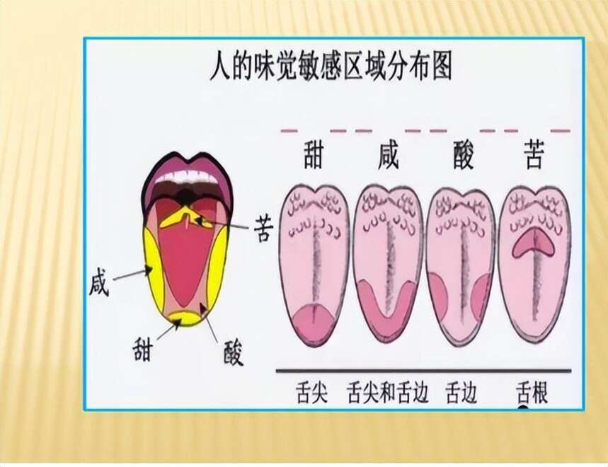 贤酒小课堂｜如何区分酒精酒与纯粮酒？