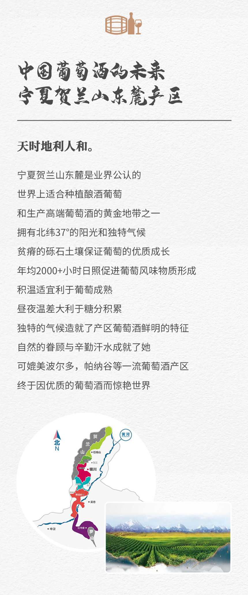 停云酒庄 - 不做传统意义的酒庄，只为酿造最优质的葡萄酒